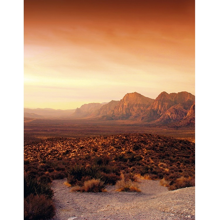 Панно Marburg Dune 32548 2,7х2,12 м