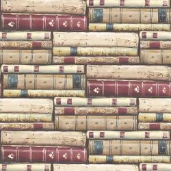 Обои KT Exclusive Vintage Home II Library MV81807