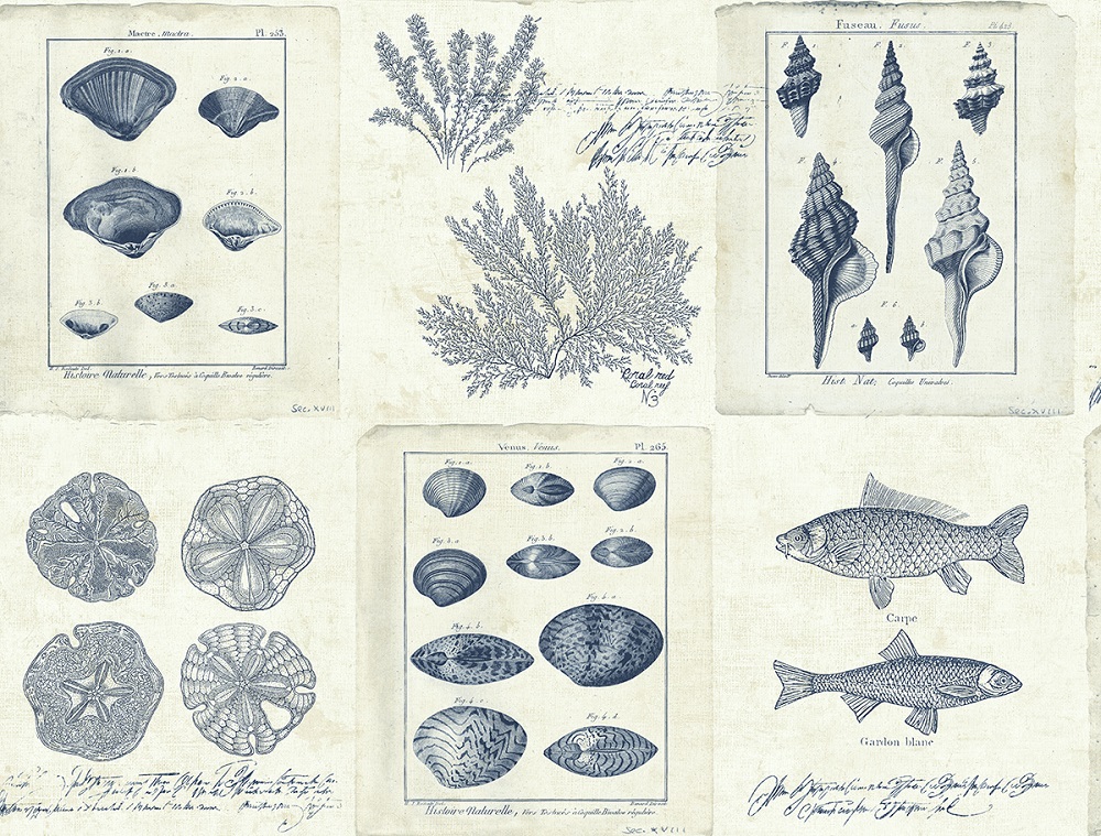 Обои KT Exclusive Destination USA TH50902