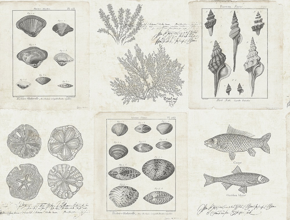 Обои KT Exclusive Destination USA TH50908