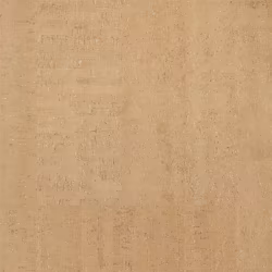 Пробковый пол клеевой Wicanders Fashionable Camel AJ8O001