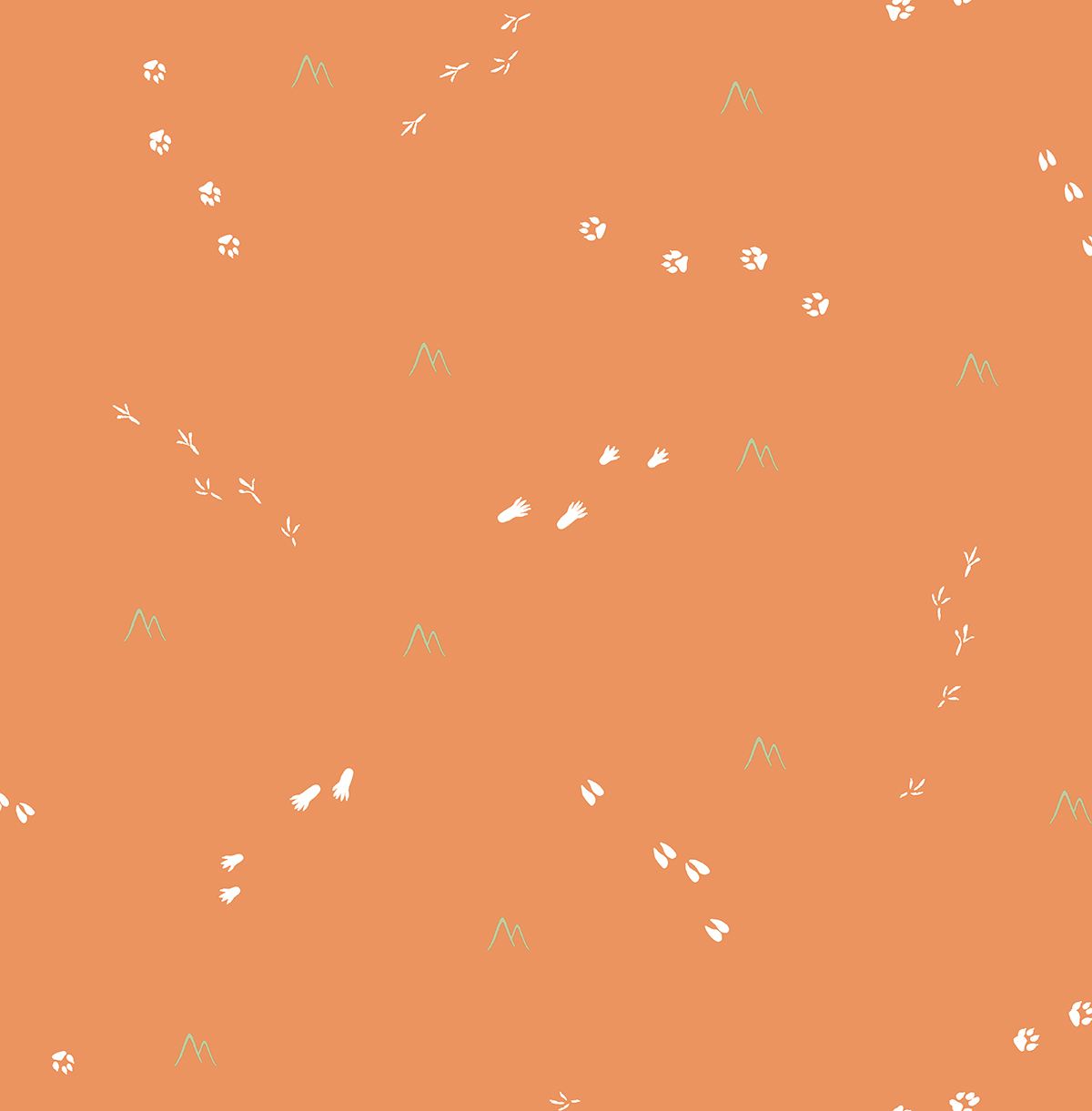 Обои KT Exclusive Playdate Adventure Trails FA41307