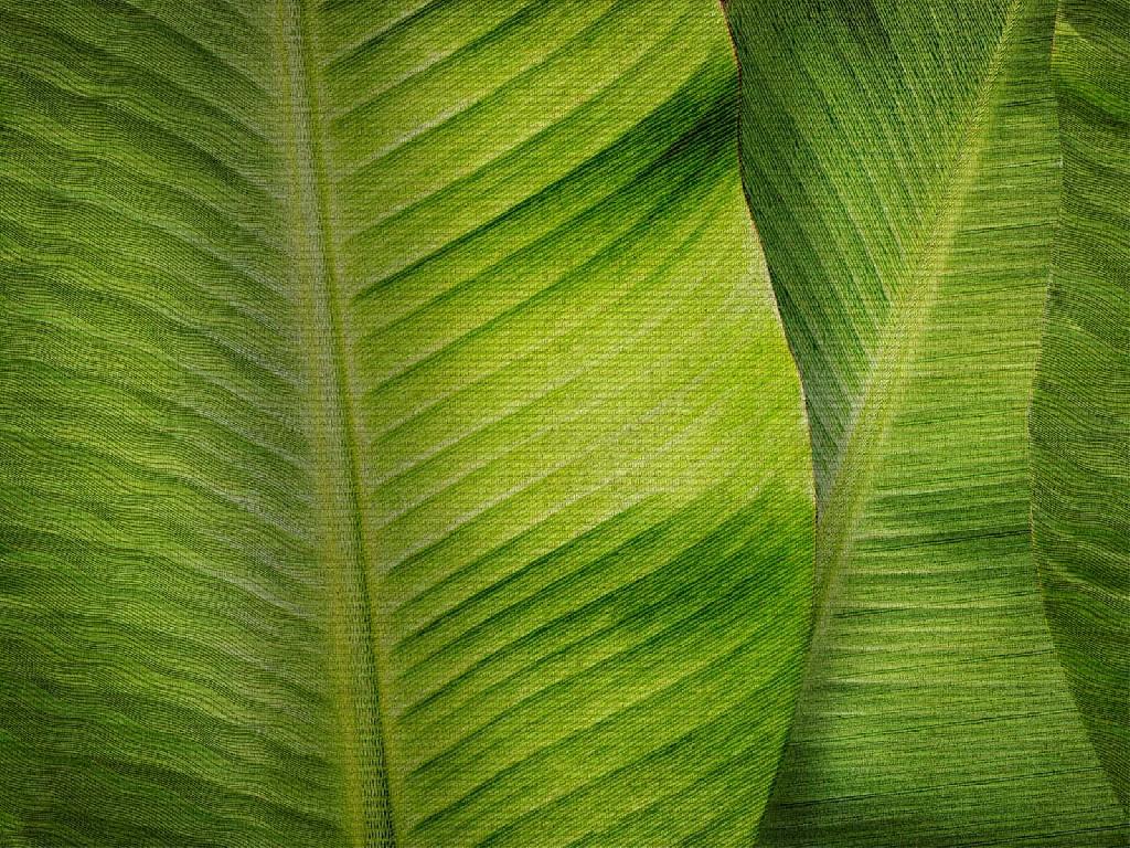 Панно Affresco New Art RE196-COL1 2x2,68 м