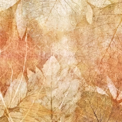Панно Affresco New Art RE204-COL2 2x2,68 м