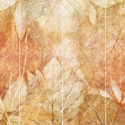 Панно Affresco New Art RE204-COL2 2x2,68 м