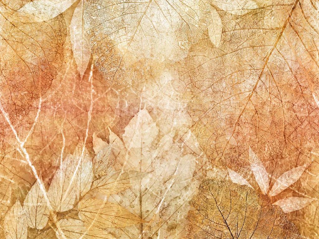 Панно Affresco New Art RE204-COL2 2x2,68 м